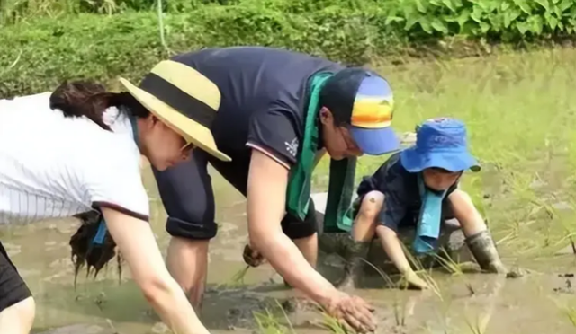 结婚13年，郭晶晶再次迎来喜讯，霍震霆的话再一次得到印证