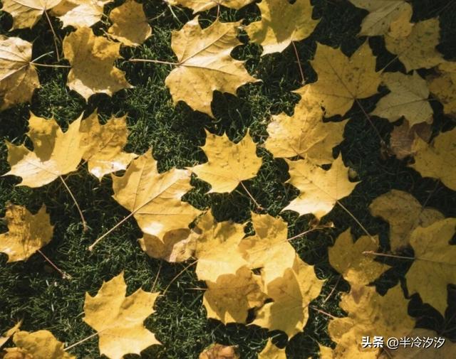 退休后，关系再铁，也不要和这5种人结伴旅游，都是过来人的忠告