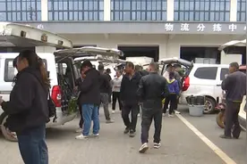 云南又一卖鲜花的地方火了！国庆期间每天销售量达150万枝！图片