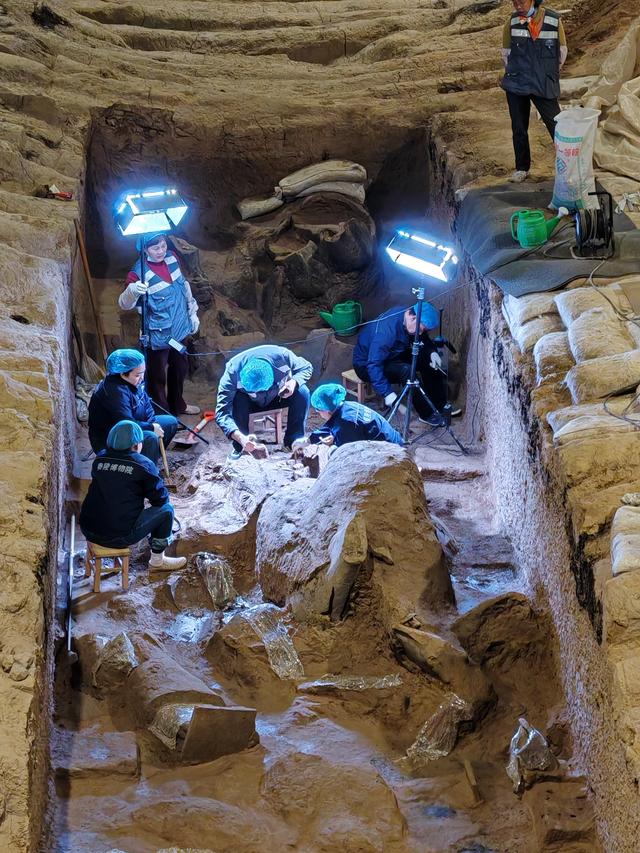 秦始皇兵马俑观后感悟