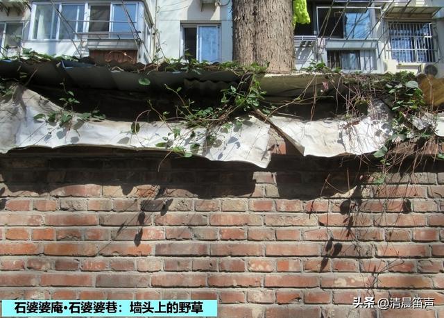 寻常巷陌：石婆婆庵·石婆婆巷