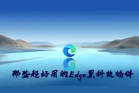 那些超好用的Edge黑科技插件图片
