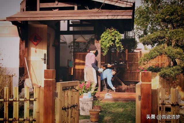 夏风终散，岁岁花期再难逢