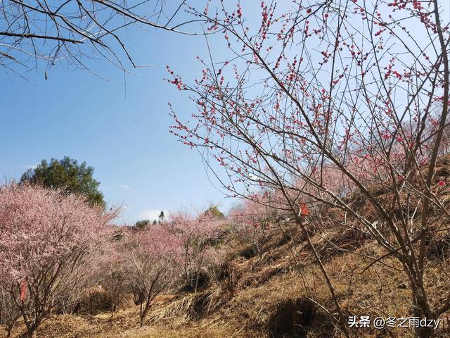 土楼拾光③:梅林古镇（2025.2.11 漳州·南靖）