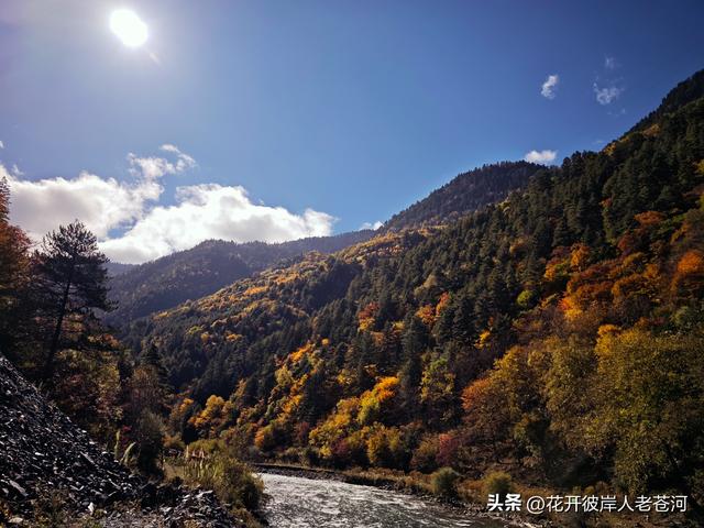 米亚罗彩林季，观赏一日游！