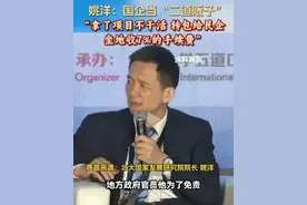 闹大了！专家批国企拿了项目不干活，转包给民企，坐收高额好处费图片