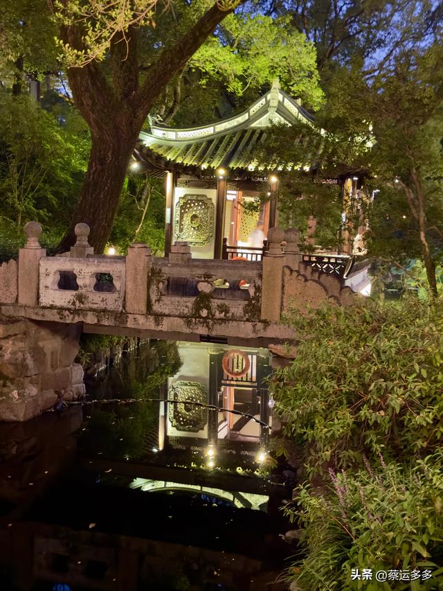 夜游上海古猗园，夜景璀璨迷人