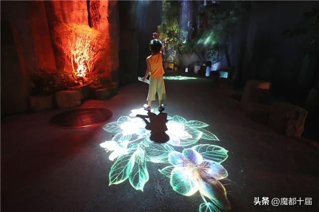 抢先探营“温室奇妙夜”上海温室花园将于7月26日开启夜游模式