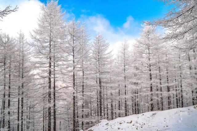 【文明旅游】太原市娄烦县：云顶之上，雪落成诗，来娄烦云顶山，遇见冬日童话