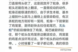 泡酒的蛇为什么隔很久都不死呢？看完网友的回复:让我恍然大悟图片