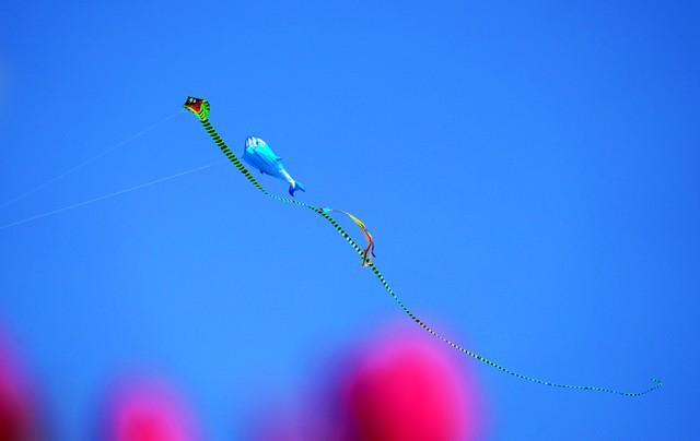 去过的人都说走早了！这6座高铁直达的小城，才是清明踏青天花板