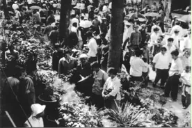 保山百年花街回顾图片