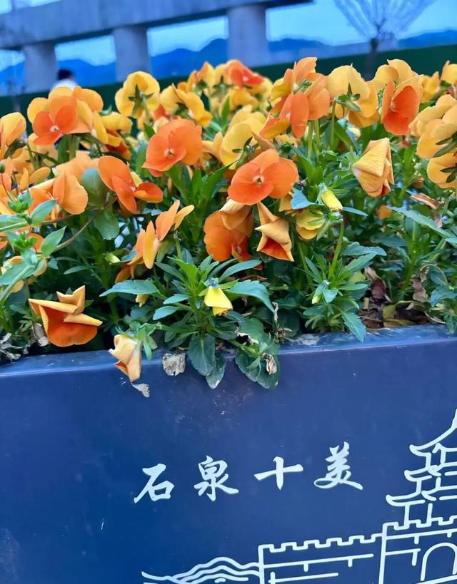 到了石泉才明白，为什么西安人都爱来这儿逛