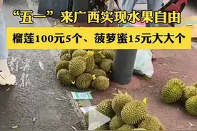 250万吨！价格暴跌一半，泰越愁容满面：中国不再为高价榴莲买单图片
