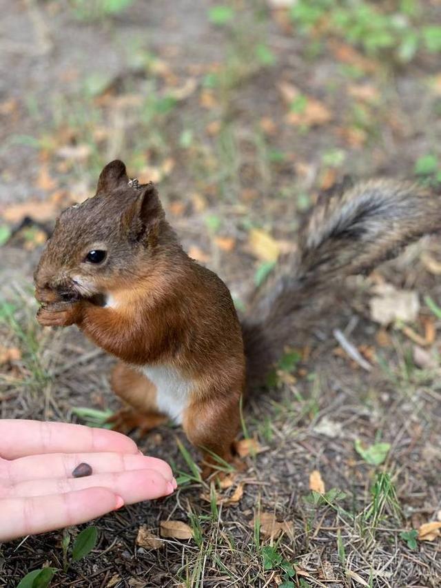 哈尔滨 4 月限定快乐：松花江跑冰排 + 早市烟火，错过等一年