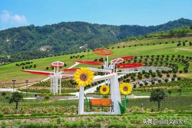 【乐游烟台】烟台新开的！6000亩超大游乐场，快来玩→