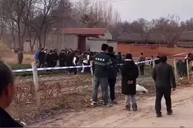 儿童犯罪，“坏小孩”越来越多！越来越小！越来越坏！图片