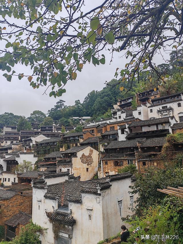 又游览了一个5A级景区——婺源篁岭村