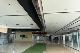 一个月卖了一辆，平行进口车销量暴降七成，保税区不少车商撤店图片