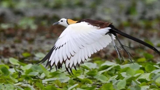 春假研学五个“最”新鲜出炉！清明假期还能约！