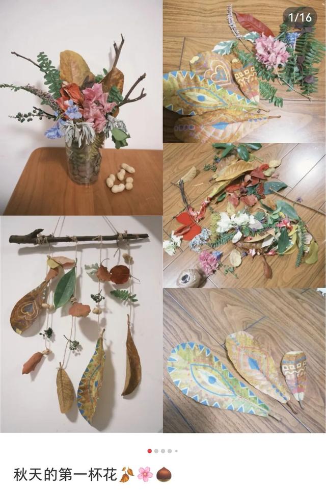 最近，不少深圳人都在捡！发图狂晒战绩，“有一种寻宝的感觉”