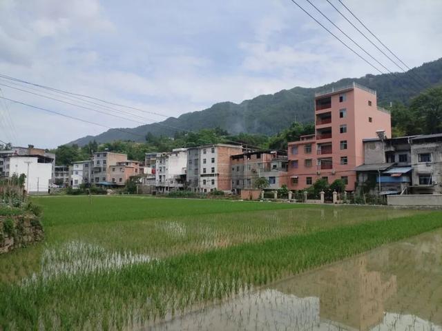 从河堰到农坝，经由云（阳）开（州）边界