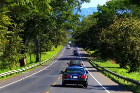 公路自驾行火热 高速公路服务区将这样升级改造图片