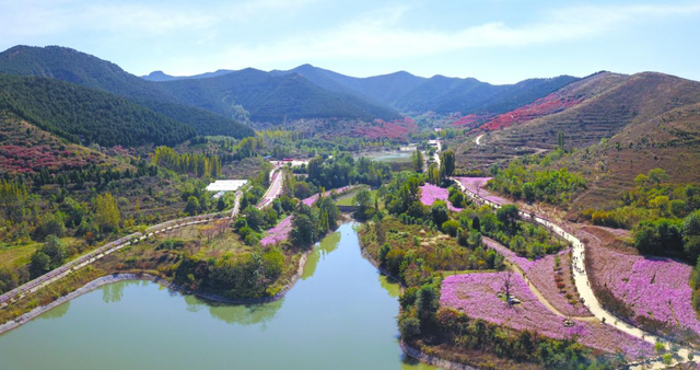 错峰出游，临朐这三程山野里的秋也很美