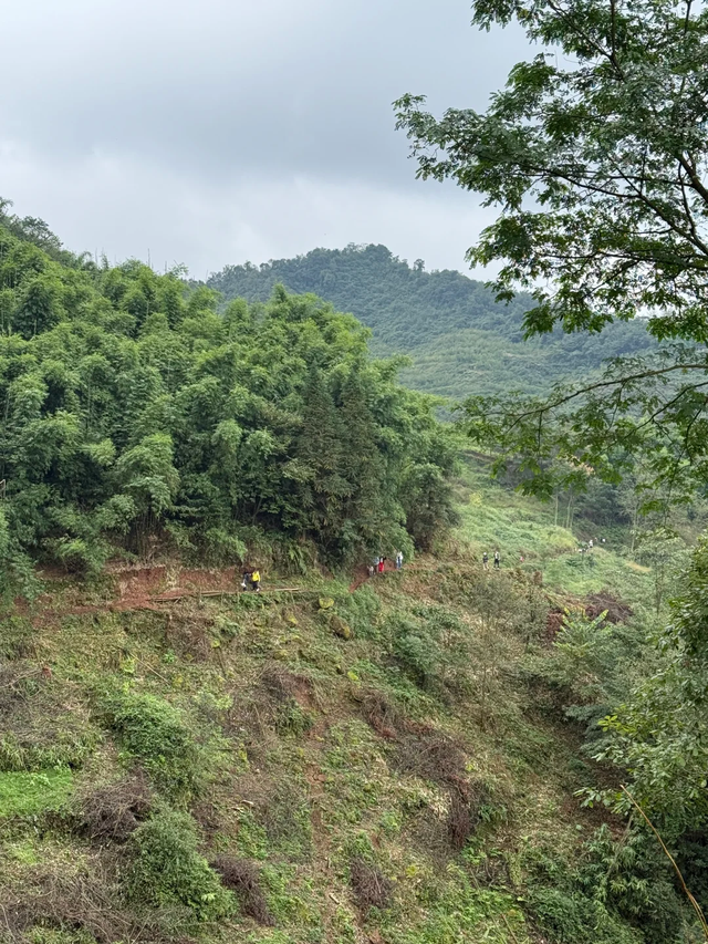 3刷这条野趣十足的徒步路线，成都1.5h可达，冷门清幽！