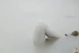 青藏冰川冰湖里惊现“人腿”？驴友冒险施救发现更寒心真相图片