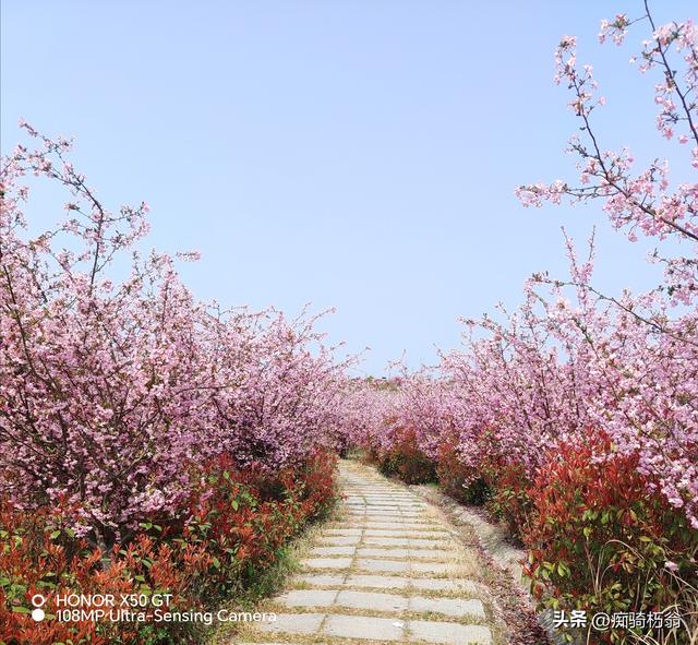 最美最妩媚，人间四月天