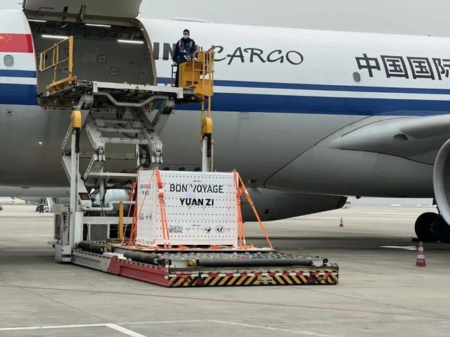 成都与法国，跨越千里的“双向奔赴”