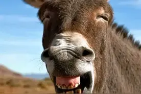 杨坤唱了一首《泥巴》，我却被网友评论笑的一天都直不起腰图片