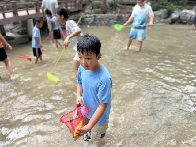 无需门票！济南私藏的“天然空调房”！水杉林下戏水、露营、烤肉，承包你的清凉夏天～