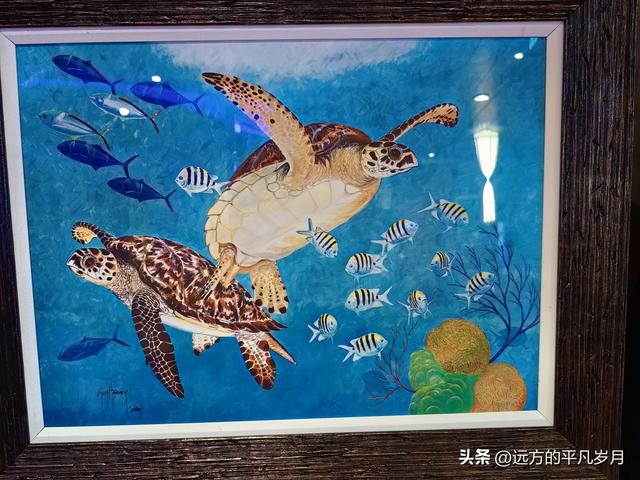 Wonder of the seas海洋奇迹号（5天4晚海上游轮）