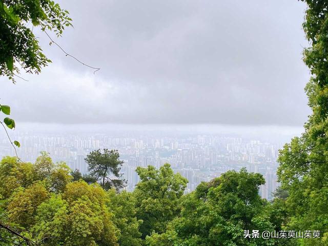 2023年春重庆探亲记（六）