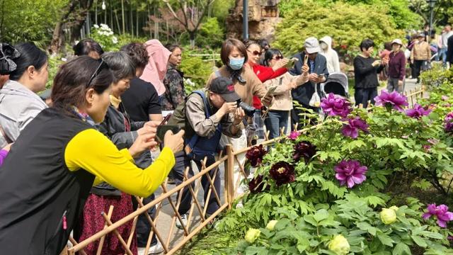 一天近4万人涌入！常州这座免费公园火了