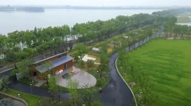 上海人的“宝藏后花园”全面升级啦！水上森林玩出新花样，这份攻略请收好！