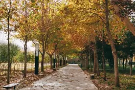 坐上这趟开往秋天的地铁，出发大兴→图片