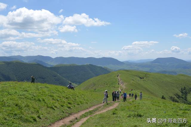 河北麻田岭（上）：绿野铺毡接云影、风轮伴路探山魂