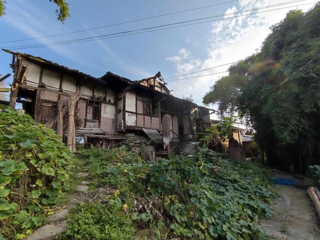 重庆巴南山中藏有一座荒废寺庙，破败不堪，门口石狮守护几百年