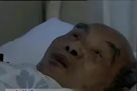 双堆集怪事：只不过失踪了一个小参谋，黄维为啥非要固执一直等？图片