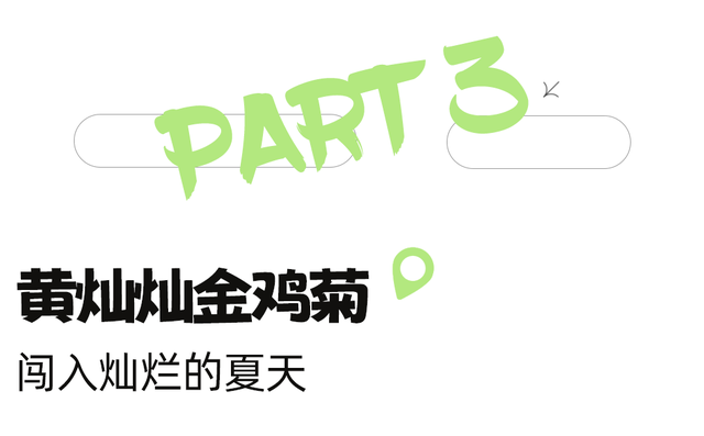 地铁直达！全部免费！成都15个被问爆的赏花地，蓝花楹三角梅美疯了