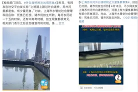 苏州河再现大量鱼群聚集，什么情况？专家：不科学放生就是杀生 放生活动有很多讲究图片