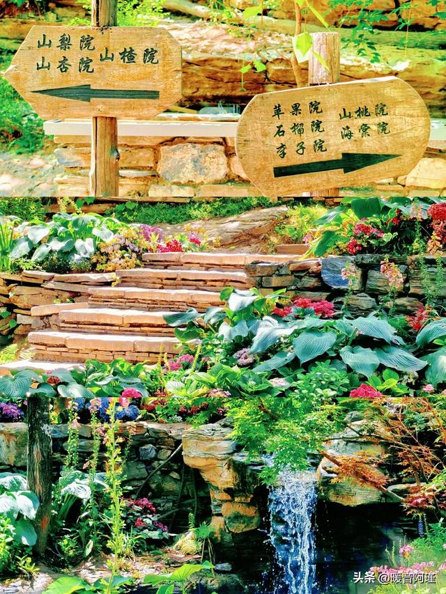 坡峰岭×药师寺:山林与禅意的完美周末