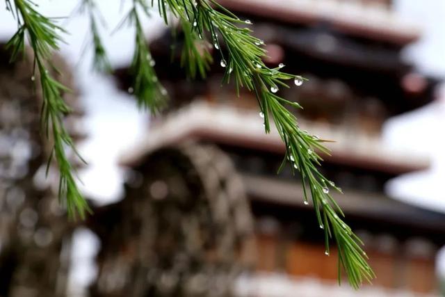 在临洮卧龙湾水镇，听一场秋天的雨~