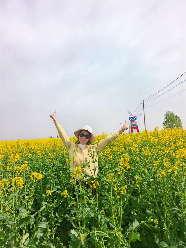 宝鸡市渭滨区燃灯寺村:金色花海绘就春日“富春山居图”