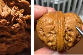 文玩核桃：雕刻VS大修，有何区别图片