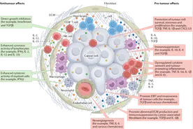 多篇Nature综述：在癌症发病机制和治疗中的细胞因子图片