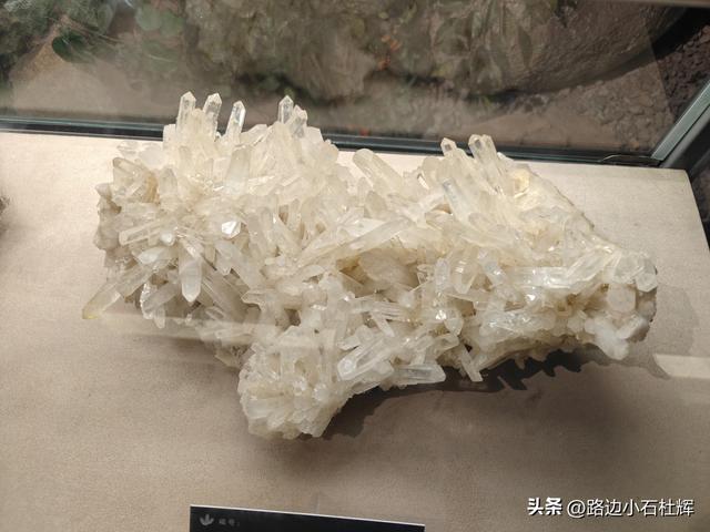 逛中国地质博物馆——一家好博物馆的暑期不佳体验